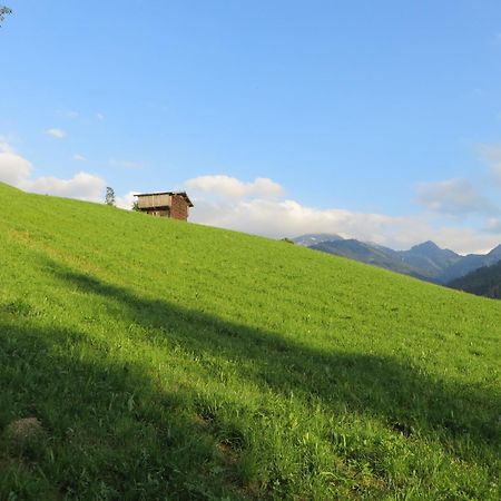 Pension Muehlbachhof Alpbach Exteriör bild
