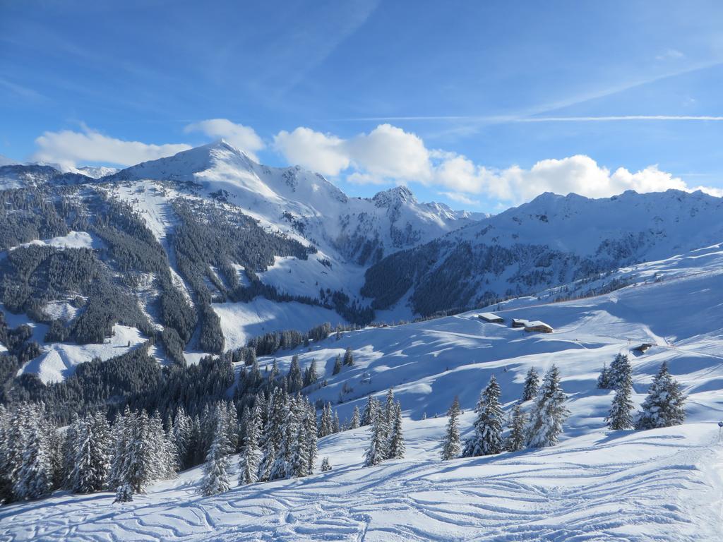 Pension Muehlbachhof Alpbach Exteriör bild