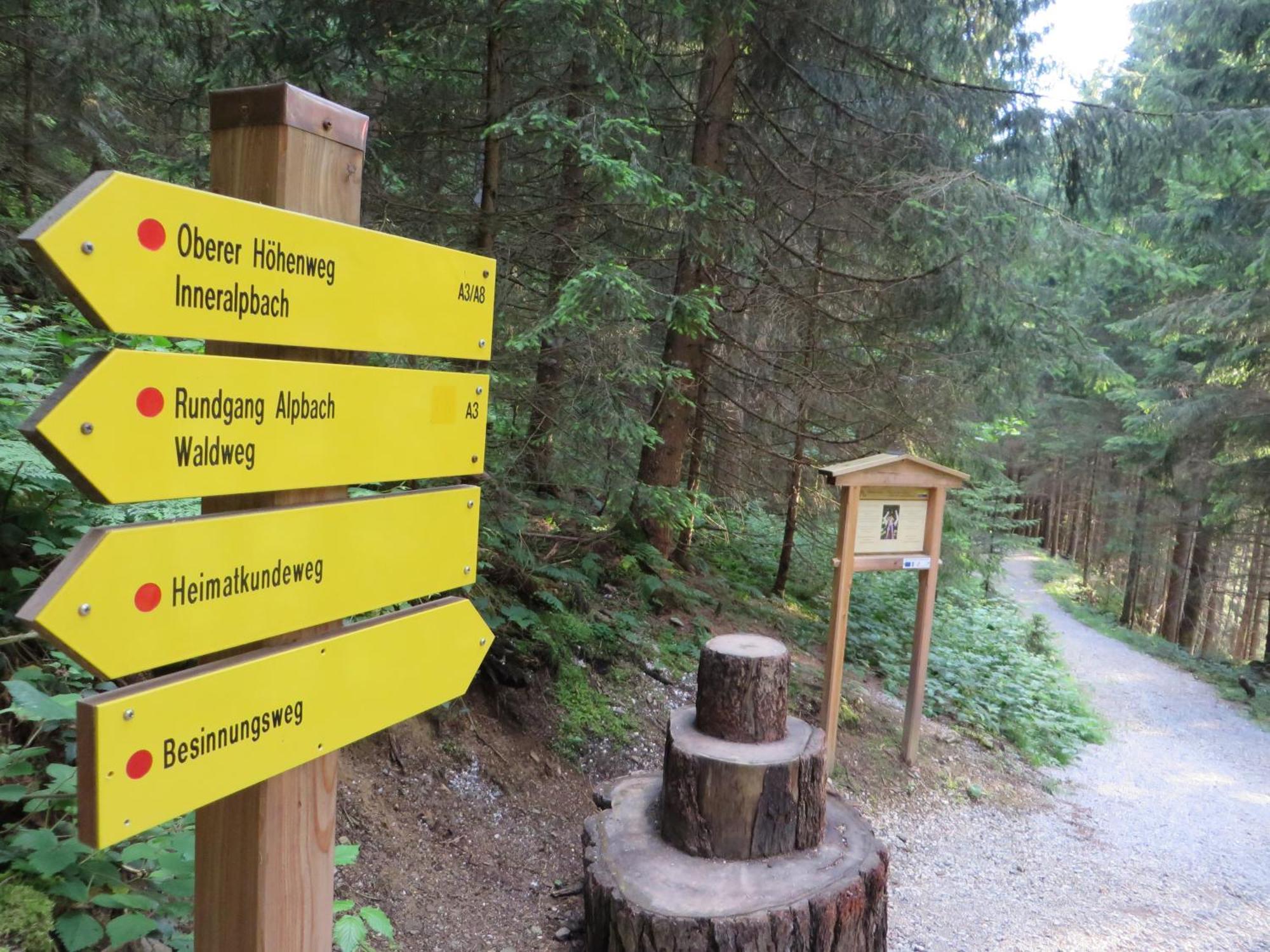 Pension Muehlbachhof Alpbach Exteriör bild