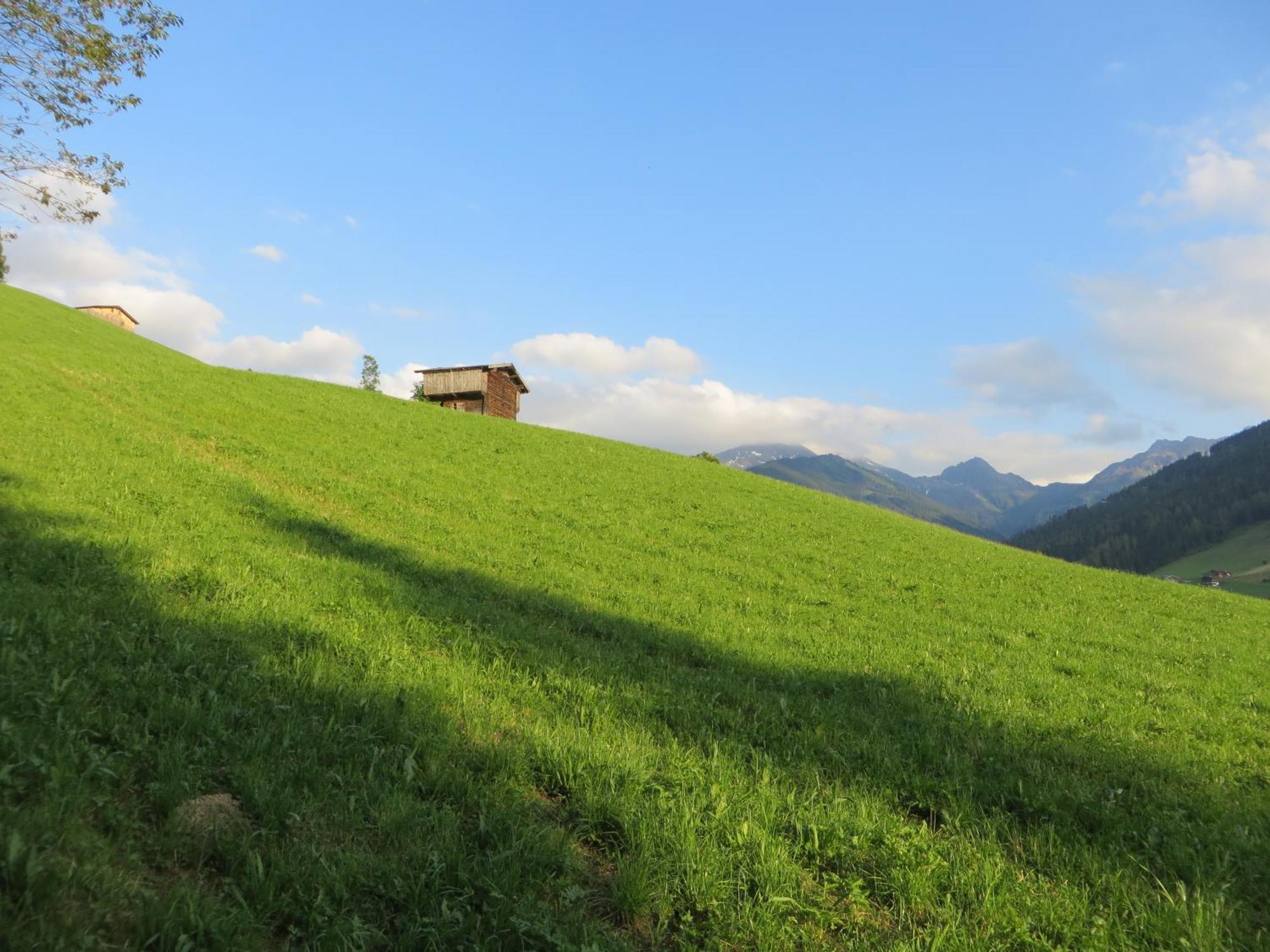 Pension Muehlbachhof Alpbach Exteriör bild